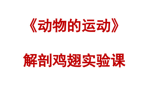 第一节 动物的运动