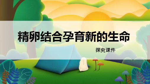 苏教版七年级生物下册 《精卵结合孕育新的生命》探究课件