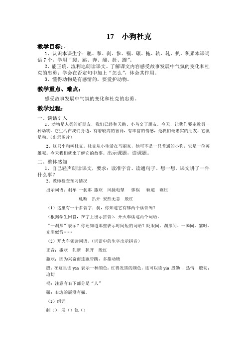 17  小狗杜克