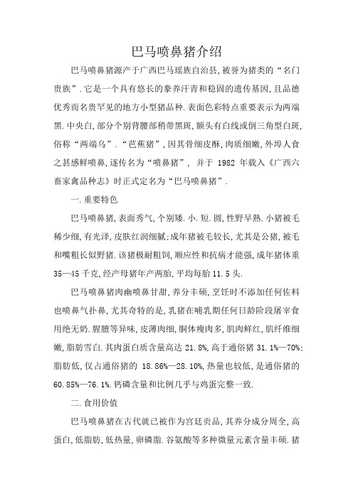 巴马香猪介绍