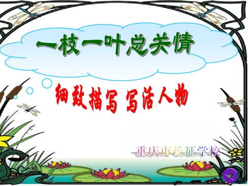 作文课件一枝一叶总关情