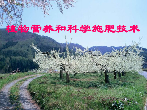 作物营养施肥技术