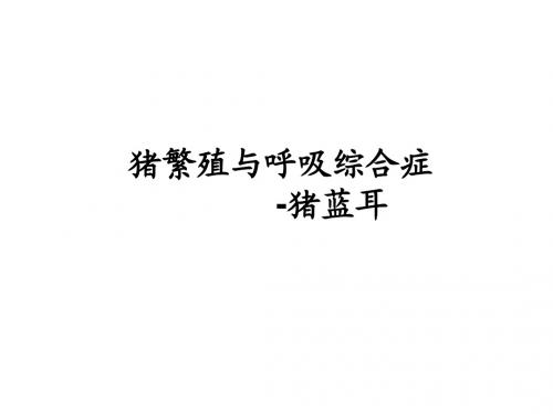 猪蓝耳病(繁殖与呼吸综合征)