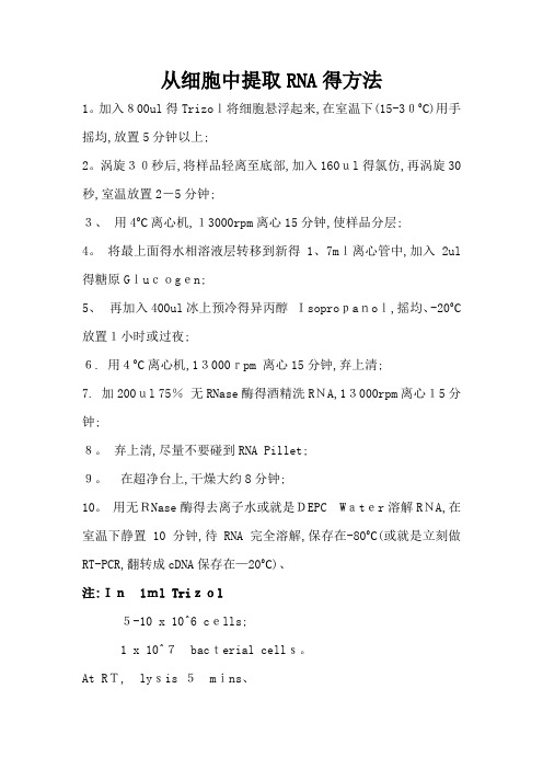 从细胞中提取RNA的方法