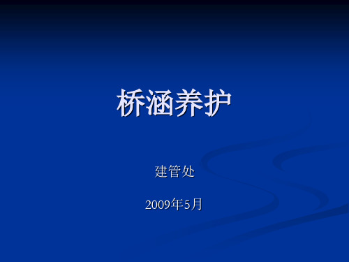 桥涵养护PPT课件