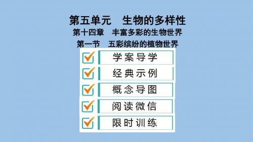 苏教版八年级生物上册课件 ：第14章 第1节 五彩缤纷的植物世界