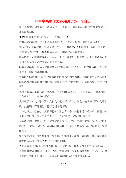 800字高中作文-我遇见了另一个自己