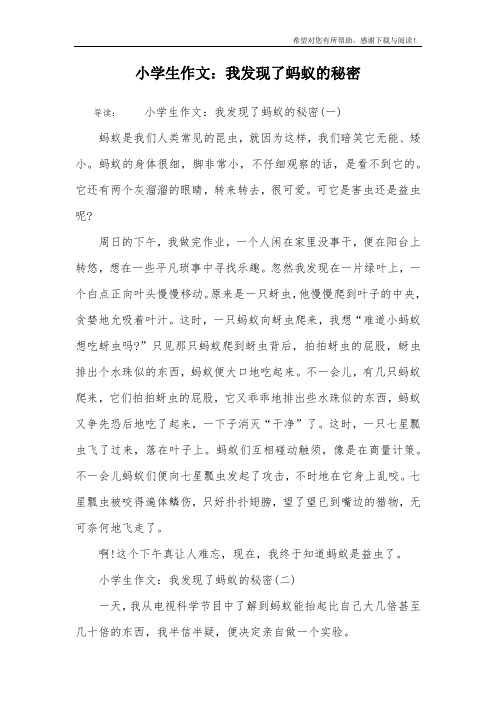 小学生作文：我发现了蚂蚁的秘密