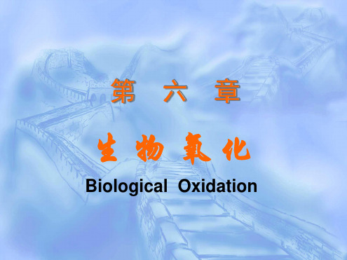 生物化学 生物氧化课件