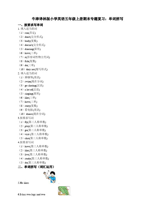 牛津译林版小学英语五年级上册期末专题复习试题：单词拼写
