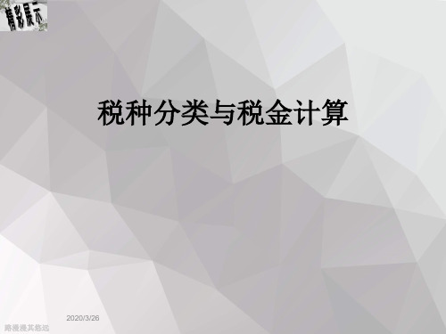 税种分类与税金计算