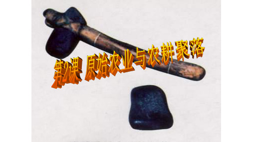 原始农业与农耕聚落ppt