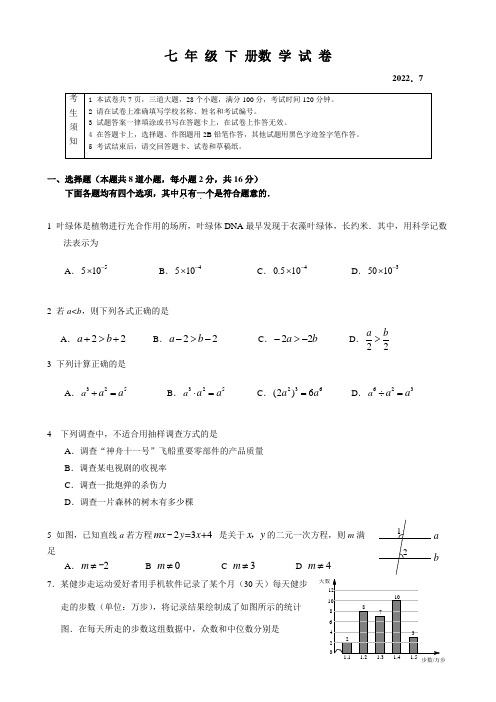 七年级数学下册试卷