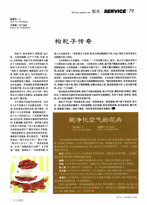 枸杞子传奇