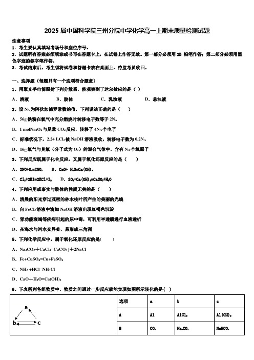 2025届中国科学院三州分院中学化学高一上期末质量检测试题含解析