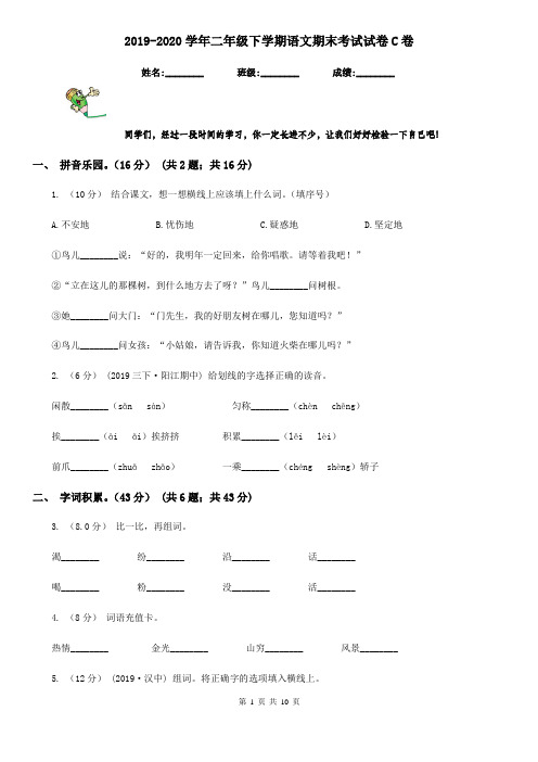 2019-2020学年二年级下学期语文期末考试试卷C卷