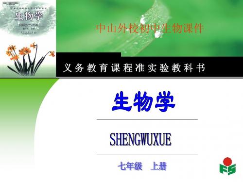 第三节 绿色植物参与生物圈的水循环