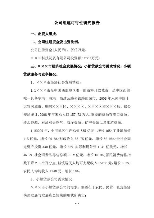 公司组建可行性研究报告