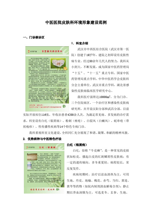 中医医院皮肤科环境形象建设范例
