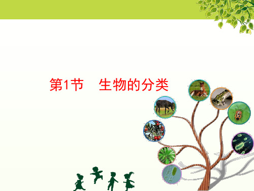 北师大版八年级下册生物生物的分类