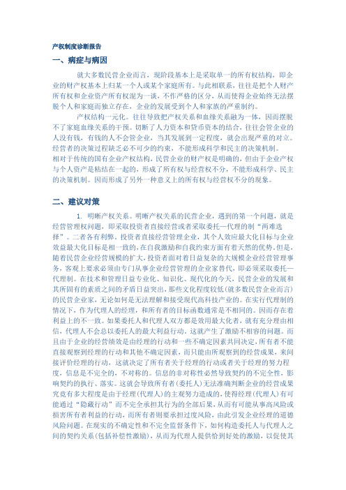 产权制度诊断报告