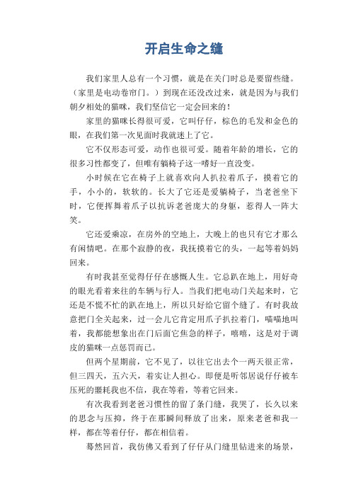 初中生满分作文：开启生命之缝