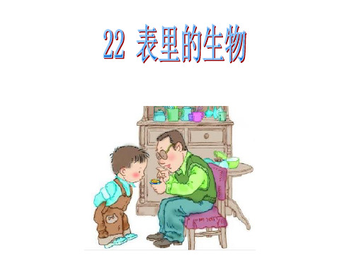 22  表里的生物