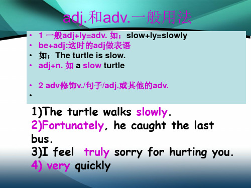 adv.与adj.