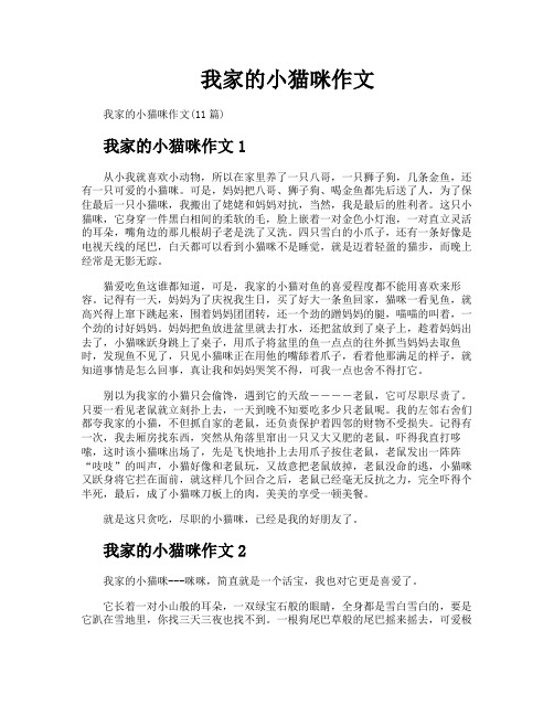 我家的小猫咪作文