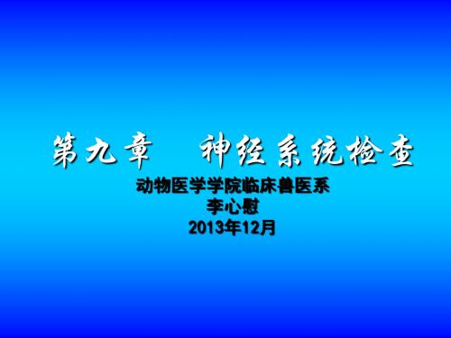 动物医学诊断神经系统检查