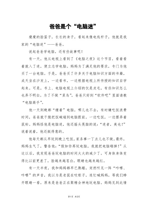 爸爸是个“电脑迷”_三年级作文
