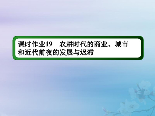 2021高考历史大一轮复习课时作业19农耕时代的商业、城市和近代前夜的发展与迟滞课件岳麓版