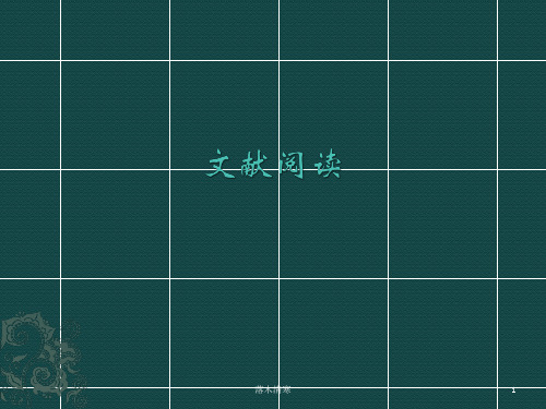 文献阅读 PPT课件