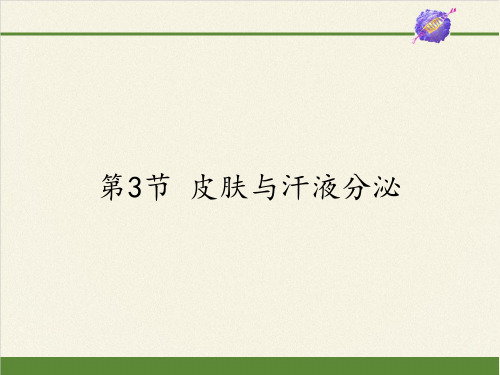 北师大版初中生物七年级下册课件-4.11.3 皮肤与汗液分泌24