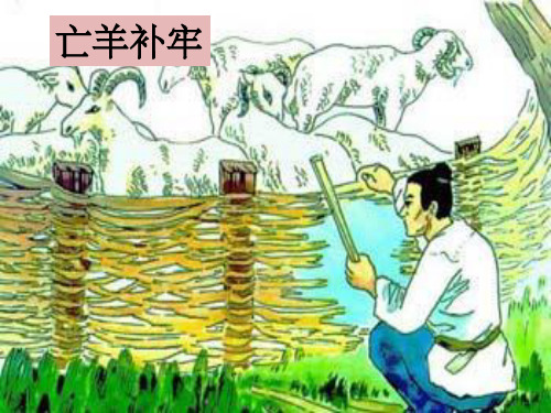 北师大版四年级语文上册《井底之蛙》公开课课件