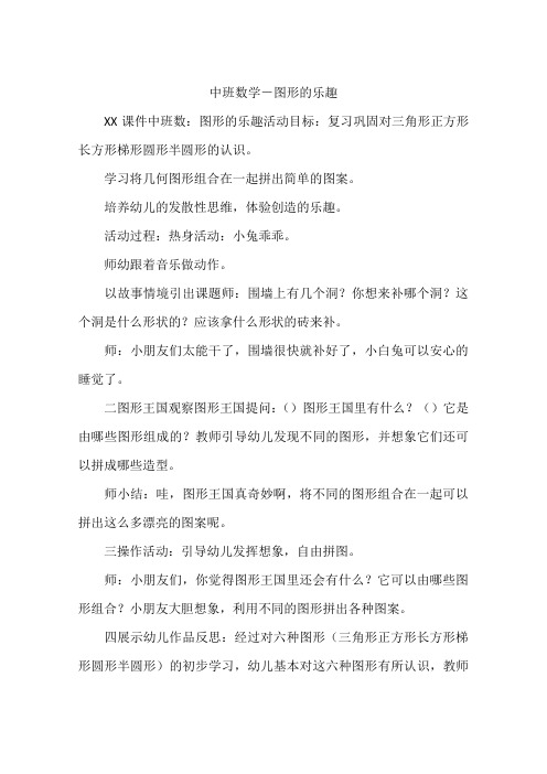 中班数学-图形的乐趣