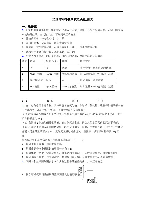 2021年中考化学模拟试题_图文
