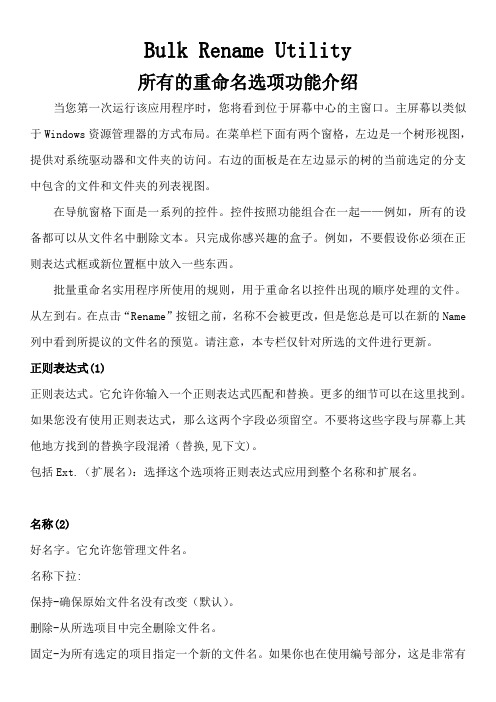 Bulk Rename Utility3.0使用说明