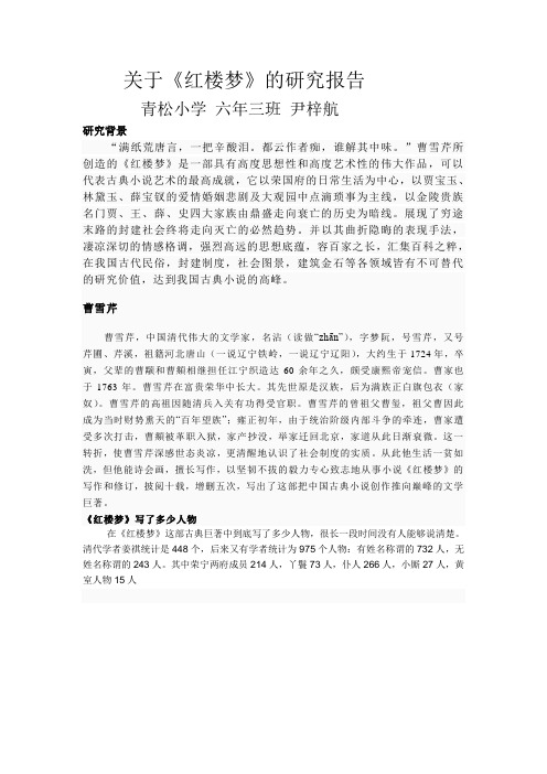 《红楼梦》研究报告