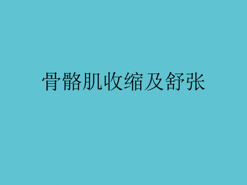 【完整】骨骼肌收缩及舒张资料PPT