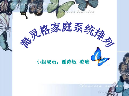 海灵格家庭系统排列