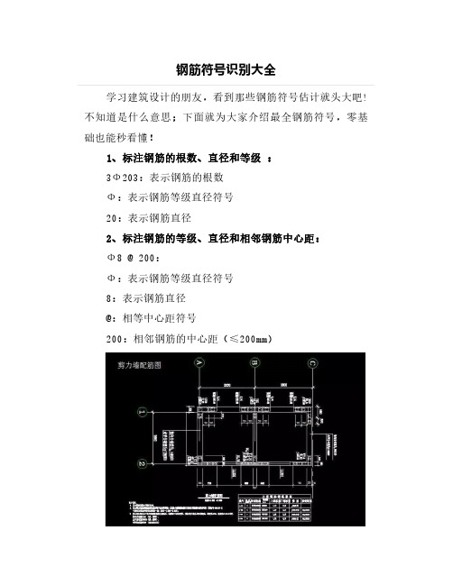 钢筋符号识别大全