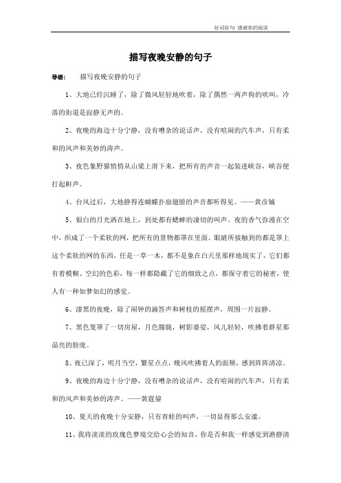 描写夜晚安静的句子