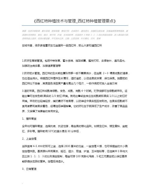 西红柿种植技术与管理_西红柿种植管理要点
