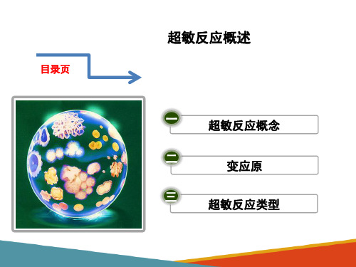 超敏反应—超敏反应概述(动物微生物课件)