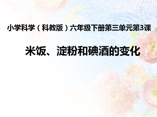 米饭淀粉和碘酒的变化PPT课件