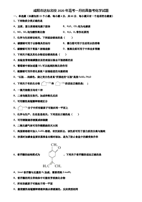 咸阳市达标名校2020年高考一月仿真备考化学试题含解析