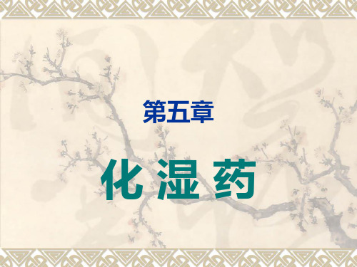 化湿药