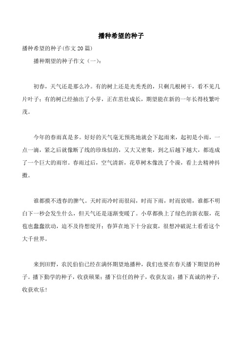 播种希望的种子