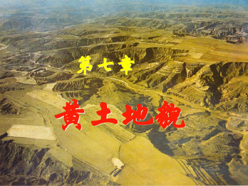 第八章黄土地貌